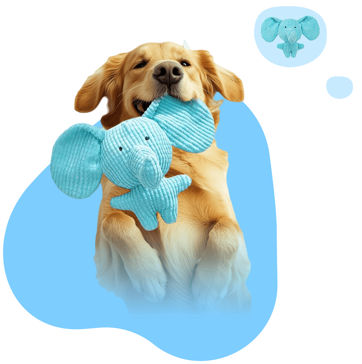 收益模块宠物插图